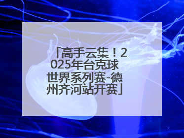 高手云集！2025年台克球世界系列赛-德州齐河站开赛