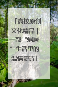 高校原创文化精品｜一部“蜗居”生活里的温情史诗