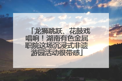 龙狮跳跃、花鼓戏唱响！湖南有色金属职院这场沉浸式非遗游园活动很带感