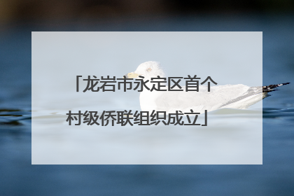 龙岩市永定区首个村级侨联组织成立