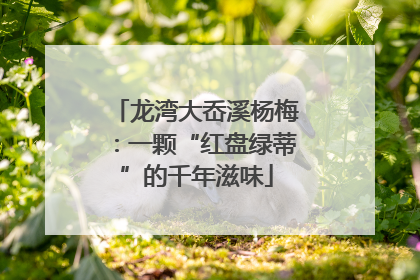 龙湾大岙溪杨梅：一颗“红盘绿蒂”的千年滋味