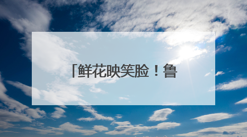 鲜花映笑脸！鲁山县妇联为优秀母亲送上暖心礼