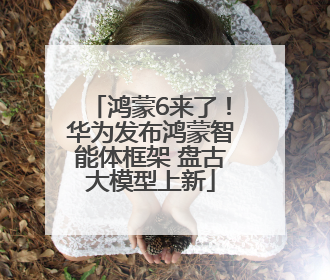 鸿蒙6来了！华为发布鸿蒙智能体框架 盘古大模型上新