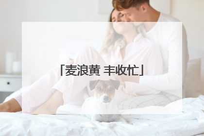 麦浪黄 丰收忙