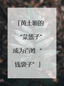 黄土塬的“菜篮子”成为百姓“钱袋子”