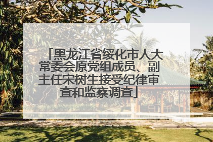 黑龙江省绥化市人大常委会原党组成员、副主任宋树生接受纪律审查和监察调查