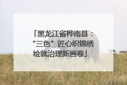 黑龙江省桦南县：“三色”匠心织锦绣 绘就治理新画卷