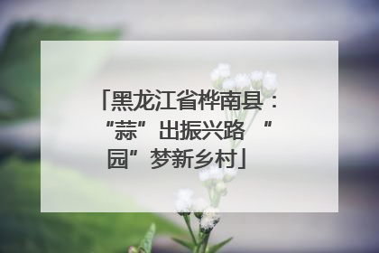 黑龙江省桦南县：“蒜”出振兴路 “园”梦新乡村