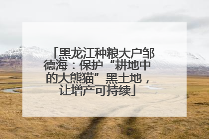 黑龙江种粮大户邹德海：保护“耕地中的大熊猫”黑土地，让增产可持续