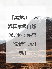 黑龙江三环泡国家级自然保护区：候鸟“带娃”添生机