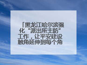 黑龙江哈尔滨强化“派出所主防”工作，让平安建设触角延伸到每个角落……