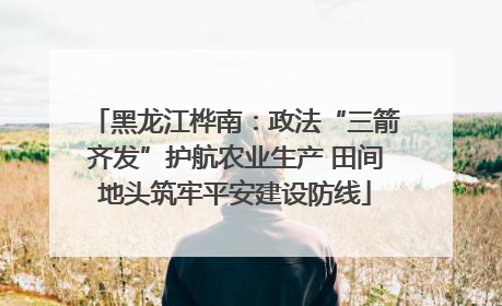 黑龙江桦南：政法“三箭齐发”护航农业生产 田间地头筑牢平安建设防线