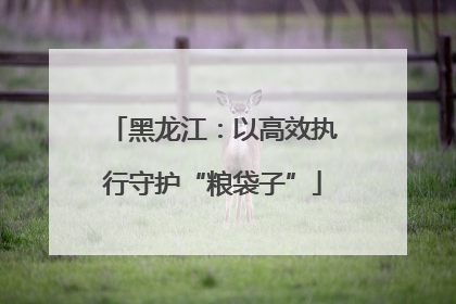 黑龙江：以高效执行守护“粮袋子”