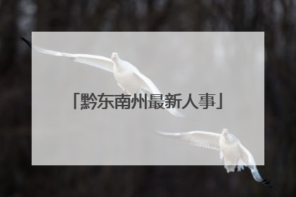 黔东南州最新人事