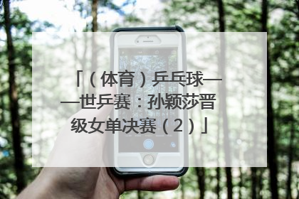（体育）乒乓球——世乒赛：孙颖莎晋级女单决赛（2）