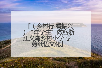 （乡村行·看振兴）“洋学生”做客浙江义乌乡村小学 学剪纸悟文化