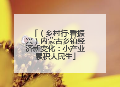 （乡村行·看振兴）内蒙古乡镇经济新变化：小产业累积大民生