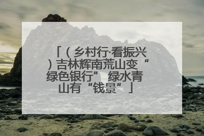 （乡村行·看振兴）吉林辉南荒山变“绿色银行” 绿水青山有“钱景”