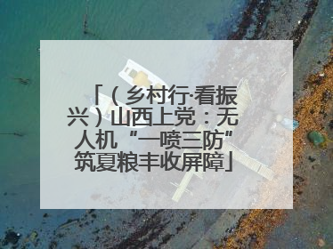 （乡村行·看振兴）山西上党：无人机“一喷三防”筑夏粮丰收屏障
