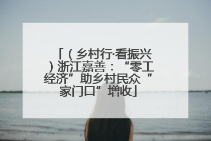 （乡村行·看振兴）浙江嘉善：“零工经济”助乡村民众“家门口”增收