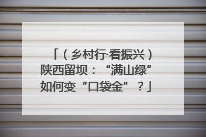 （乡村行·看振兴）陕西留坝：“满山绿”如何变“口袋金”？