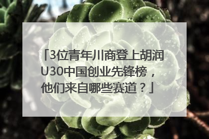 3位青年川商登上胡润U30中国创业先锋榜，他们来自哪些赛道？