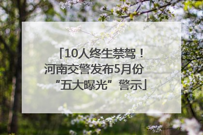 10人终生禁驾！河南交警发布5月份“五大曝光”警示