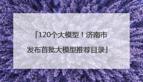120个大模型！济南市发布首批大模型推荐目录