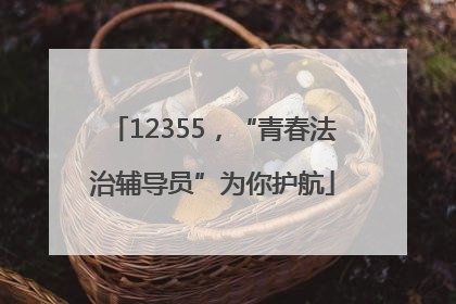 12355，“青春法治辅导员”为你护航
