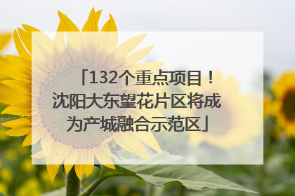 132个重点项目！沈阳大东望花片区将成为产城融合示范区
