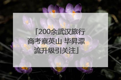 200余武汉旅行商考察英山 毕昇漂流升级引关注