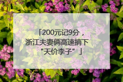 200元记9分，浙江夫妻俩高速摘下“天价李子”