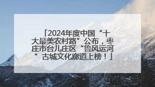 2024年度中国“十大最美农村路”公布，枣庄市台儿庄区“鲁风运河”古城文化廊道上榜！