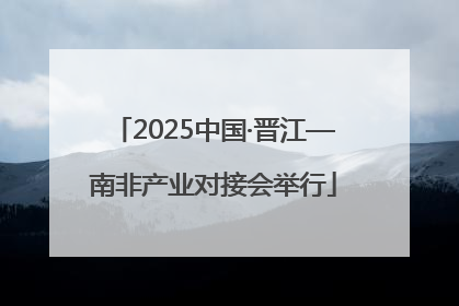 2025中国·晋江—南非产业对接会举行