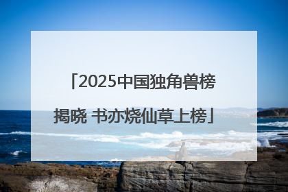 2025中国独角兽榜揭晓 书亦烧仙草上榜