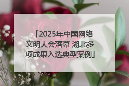 2025年中国网络文明大会落幕 湖北多项成果入选典型案例