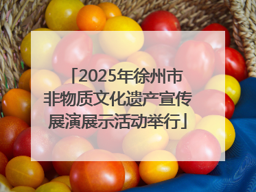 2025年徐州市非物质文化遗产宣传展演展示活动举行