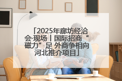 2025年廊坊经洽会·现场丨国际招商“磁力”足 外商争相向河北推介项目
