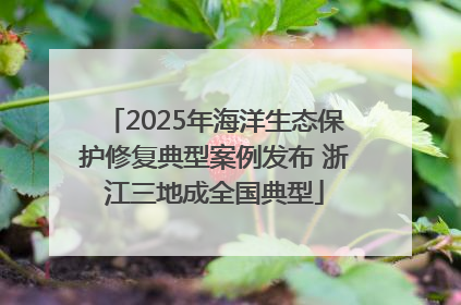 2025年海洋生态保护修复典型案例发布 浙江三地成全国典型