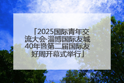 2025国际青年交流大会·淄博国际友城40年暨第二届国际友好周开幕式举行