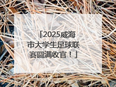 2025威海市大学生足球联赛圆满收官！
