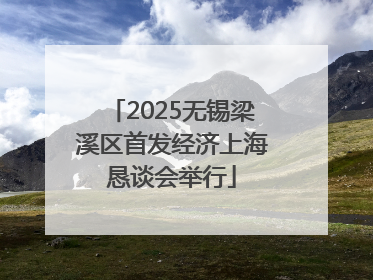 2025无锡梁溪区首发经济上海恳谈会举行