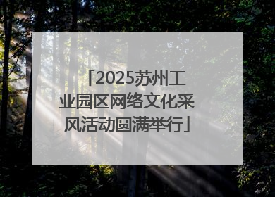 2025苏州工业园区网络文化采风活动圆满举行