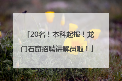 20名！本科起报！龙门石窟招聘讲解员啦！