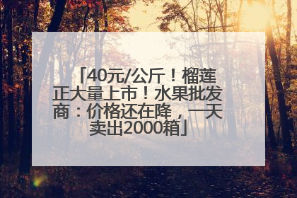 40元/公斤！榴莲正大量上市！水果批发商：价格还在降，一天卖出2000箱