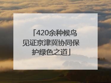 420余种候鸟见证京津冀协同保护绿色之道