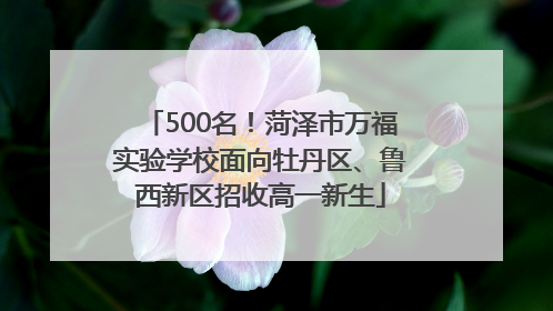 500名！菏泽市万福实验学校面向牡丹区、鲁西新区招收高一新生