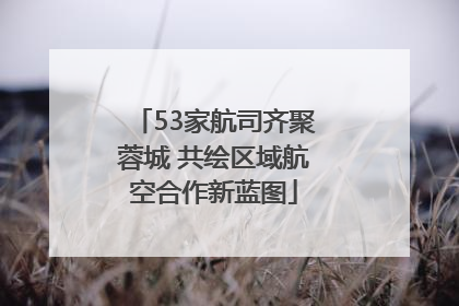 53家航司齐聚蓉城 共绘区域航空合作新蓝图