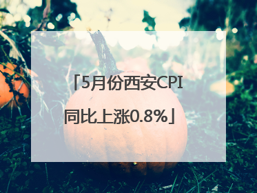 5月份西安CPI同比上涨0.8%