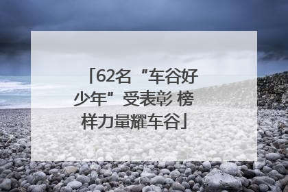 62名“车谷好少年”受表彰 榜样力量耀车谷